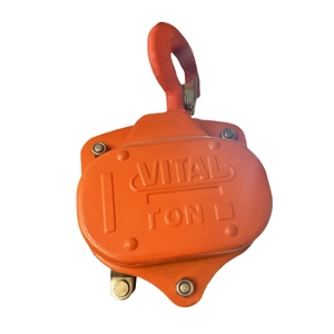 Pa lăng xích, pa lăng mini, pa lăng cần cẩu, xích 250kg, mini 1 tấn, <span class=keywords><strong>2</strong></span> tấn, 3 tấn, 4 tấn, 5 tấn, 30 tấn, pa lăng xích 12 mét - Product Image 2