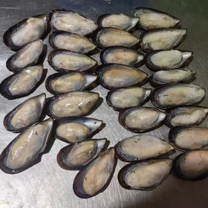 Vendita calda IQF carne di cozze nuova stagione crostacei per cucinare - Product Image 2