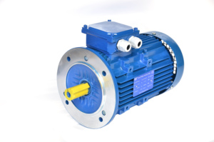 Motor Trifásico de Alta Calidad y Velocidad, Motor de Inducción Trifásico Hongma 3 Asíncrono - Product Image 2