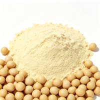 Extrait d'isoflavones de soja 10%-80% - Ingrédient d'extrait végétal standardisé pour la fabrication de capsules et de comprimés