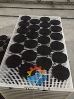 Sans fumée bobines de moustique faisant la machine/entièrement automatique d'encens Anti-Moustique machine/spirale bobine machine à encens