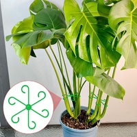 4 tailles Supports de tiges pour plantes grimpantes Supports de tiges en plastique réutilisables pour fleurs vertes Trelli Stem Hook Croissance Accessoires