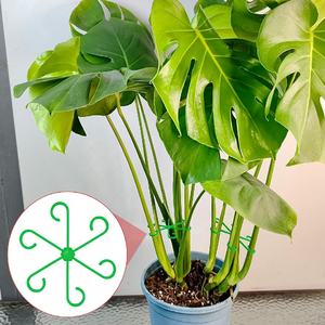 4 tailles Supports de tiges pour plantes grimpantes Supports de tiges en plastique réutilisables pour fleurs vertes Trelli Stem Hook Croissance Accessoires - Product Image 6