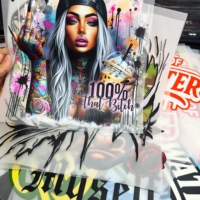 Transferts en vinyle de haute qualité T-Shirt personnalisé Conceptions de transfert de chaleur Autocollants en plastisol Sacs Chapeaux Autocollants en fer Lavable PET Usine