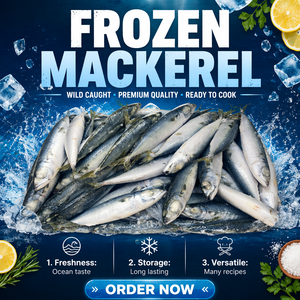 Camarón Entero Congelado en el Mar IQF 10kg/Caja |   Pescado con Alto Contenido de Proteínas y Bajo en Azúcar, Certificado ISO, Marca OASIC, Fujian, para el Mercado Africano - Product Image 1