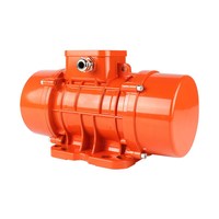 Hochwertige kleine Industrie vibratoren der MV-Serie Externe 220-V-Vibrationsmotormodelle MV300 MV500 MV700 MV800 100/3