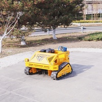 Penjualan laris mesin pemotong rumput Mini pemotong sikat perayap kendali jarak jauh mesin pemotong rumput