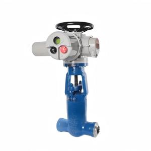 Porte de centrale électrique (Z961Y) - Acier forgé haute résistance |   DELCO - Product Image 2