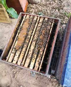 20KG有機動物飼料天然花粉代替物とミツバチの餌がハイブの成長のために - Product Image 5