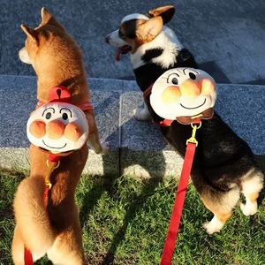 حقيبة ظهر الكلب سوبرمان للخبز اللطيف للكلاب الصغيرة متوسطة الحجم لنزهات تيدي كورجي حقيبة مدرسية محمولة باليد للقطط - Product Image 5