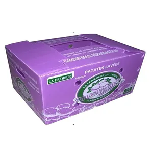 Individuelle Gemüseverpackungsboxen faltbares PP gewelltes Corflute Correx-Speicher Gemüsebox Polypropylen hohle Kunststoffbox