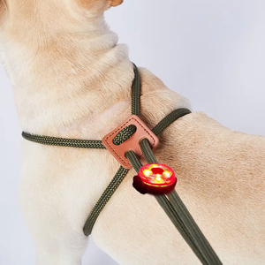 2 in 1 gece yürüyüş Light up köpek aksesuarları güvenlik uyarı led'i köpek kolye ayarlanabilir halat köpek koşum ve tasma Set - Product Image 2