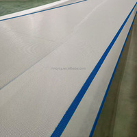 Bande transporteuse en maille polyester avec rainures de 1 mm, 2 mm, 3 mm pour le lavage des légumes