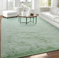 Tapis moderne lavable en machine, à poils longs, doux et moelleux, adapté aux animaux domestiques, pour salon, chambre et salle à manger