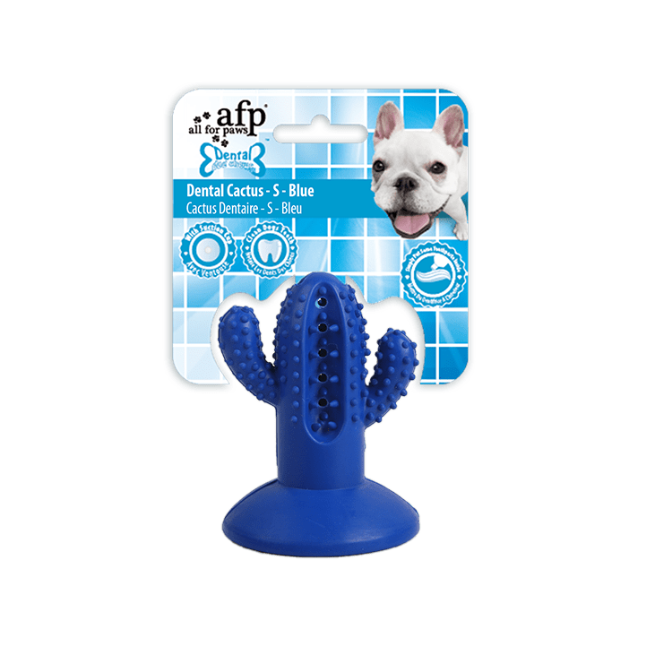 Cactus Petit Caoutchouc Bleu