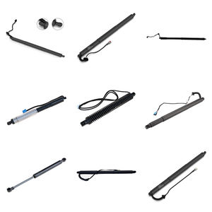 Resortes de gas de Venta caliente de precio al por mayor de calidad OEM para Renault <span class=keywords><strong>Megane</strong></span> 8200135264 - Product Image 6