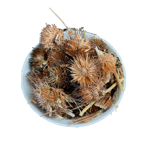 <span class=keywords><strong>Echinacea</strong></span> Angustifolia Wurzel Wild crafted Kräutertee für die Immun gesundheit - Product Image 1