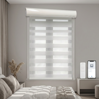 Store zébré motorisé intelligent sur mesure, WiFi Tuya Zigbee, commande à distance par application, minuterie, batterie rechargeable, sans câblage, pour la maison et le bureau