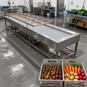 Machine de nettoyage à brosses à fonctionnement stable pour le lavage en lots de gingembre, de carottes et de pommes de terre dans <span class=keywords><strong>les</strong></span> stations de transformation agricole - Product Image 1