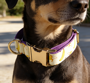 Collier pour chien réglable et respirant avec imprimé <span class=keywords><strong>banane</strong></span>, motif fruit, style simple, en polyester - Product Image 5