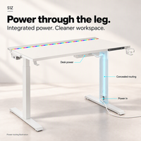 Pieds de bureau en métal avec alimentation électrique, table élévatrice, bande lumineuse RGB, gestion des câbles, bureau commercial MAGNUSS