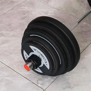 แผ่นน้ำหนักเหล็กหล่อเคลือบ PU คุณภาพสูงสำหรับขายส่ง รูขนาด 50 มม. สำหรับการฝึกความแข็งแรง - Product Image 6