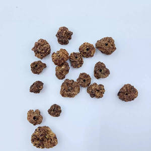 Nueces de Matatabi Secas OEM, Gomas de Silvervine, Juguetes para Gatos que Ayudan a Relajar y Aliviar la Ansiedad, Masticables Naturales para Limpiar los Dientes - Product Image 5