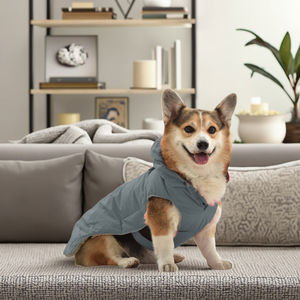 Grosir gaya baru Multi Warna harga rendah mantel anjing peliharaan musim dingin pakaian Anjing mode - Product Image 2