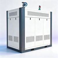 Chaudière à condensation basse pression à circulation naturelle de classe D PGS, à faibles émissions de NOx, pour gaz et vapeur, fonctionnement stable et fiable