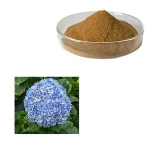 Profesyonel bitkisel formülasyonlar ve ek üretim süreçleri için Premium sertifikalı ortanca kök ekstresi tozu - Product Image 1