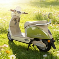 Sepeda Motor Listrik Berkualitas Tinggi Harga Terjangkau 1000W 60V Baterai Lithium Skuter Listrik Roda Dua
