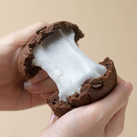 Machine automatique multifonction pour la fabrication de biscuits sandwich au chocolat 220V, nouvelle, haute productivité pour les usines alimentaires