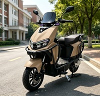 YT Commercial Delivery Electric Motorbike Full Crash Guard Rear Cargo Rack 200kg Max Load 50-60km Range 60V/72V 1000-2000W Dual