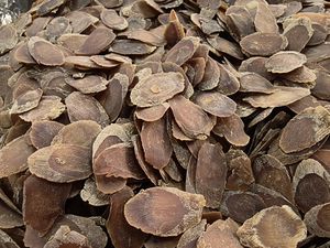 Yüksek kaliteli toptan fiyat kurutulmuş kırmızı <span class=keywords><strong>Ginseng</strong></span> kökü dilim <span class=keywords><strong>Ginseng</strong></span> Radix dilimleri - Product Image 5