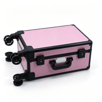 Étui à cartes en aluminium rose avec roulettes, poignée télescopique, serrure TSA et 4 emplacements, étui à cartes en aluminium pour cartes gradées