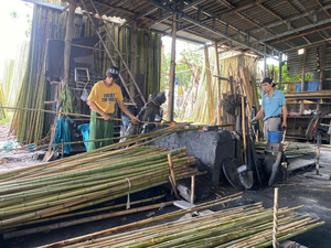 Premium Tonkin <b>Cane</b> <b>Bamboo</b> Stakes for Nursery and Vineyard Support Natural Agricultural <b>Bamboo</b> Plant Sticks - Product Image 4