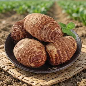 Radice di <span class=keywords><strong>Taro</strong></span> <span class=keywords><strong>Cinese</strong></span> Biologica Fresca, Campione Naturale da 1kg, Durata di Conservazione 3 Mesi, Ordini Piccoli Accettati - Product Image 1