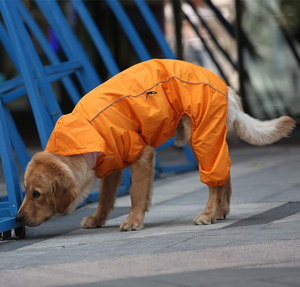 Impermeabili per Cani Ecologici con Logo Personalizzato per Bassotto/Whippet/Greyhound - Stagione Autunnale Taglia XXL Design Moderno - Product Image 2