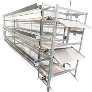 Système de cage d'élevage de poussins de type H durable en acier galvanisé à chaud, anti-évasion, résistant à la corrosion, à mailles denses et modulaire - Product Image 5