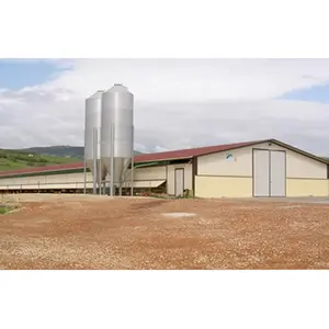 Structure en acier préfabriquée contrôlée automatiquement à grande échelle, conception de la maison de poulet, poulailler, hangar à volaille, construction de ferme