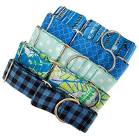 Premium 2 "pouces 5cm sport large lévrier collier Martingale collier de chien pour animaux de compagnie en cours d'exécution marche randonnée formation