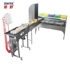 ZENYER egg grading printing machine with vacuum egg lifter