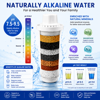 Filter Air WP6. Filter Pengganti Standar untuk Pitcher. Bebas BPA