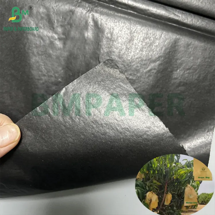Glossy 30gsm Fruit Protection Bag Inner Black Paper Roll Sunproof Mango Growing Protection