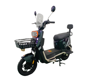 Batterie de moteur de vélo électrique 20 pouces Inde 48V Contrôleur Espagne Conversion sportive Side-car deux places Pièces de verrouillage Vélo électrique - Product Image 1