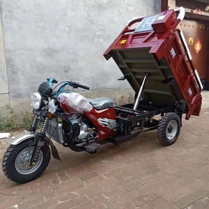 Triciclo a cassone ribaltabile per carichi pesanti, a tre ruote, a motore, a benzina, veicolo agricolo motorizzato, camioncino a benzina - Product Image 1