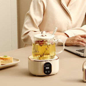 Bouilloire Électrique en Verre de Haute Qualité avec Contrôle de Température, Mini <span class=keywords><strong>Chauffe</strong></span>-<span class=keywords><strong>Eau</strong></span> Électrique : Bouilloire à <span class=keywords><strong>Eau</strong></span> Chaude Miniature de 400 ml - Product Image 3