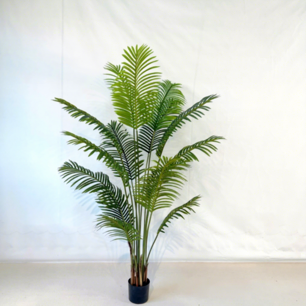 palmier arec vert 180cm
