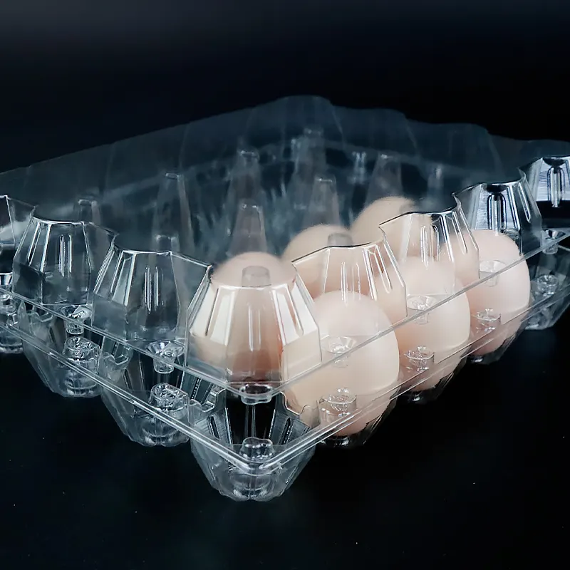 Kemasan Telur Bening Nampan Plastik Transparan 20 Nampan Telur Kemasan Plastik Blister 20 Lubang Nampan Plastik Telur