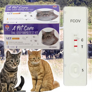 Pruebas Rápidas Veterinarias FPV/FCOV/GIA <span class=keywords><strong>de</strong></span> 3 Vías para Gatos, Precio <span class=keywords><strong>de</strong></span> Fabricante <span class=keywords><strong>de</strong></span> Productos para el Cuidado <span class=keywords><strong>de</strong></span> Mascotas - Product Image 4